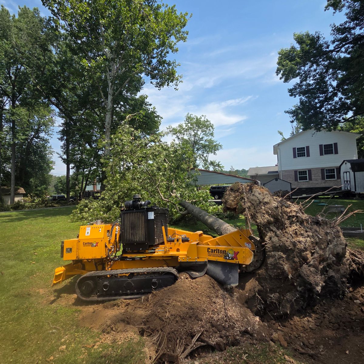 Stump Removal for Darbie's Tree Service in Newburg,  MD
