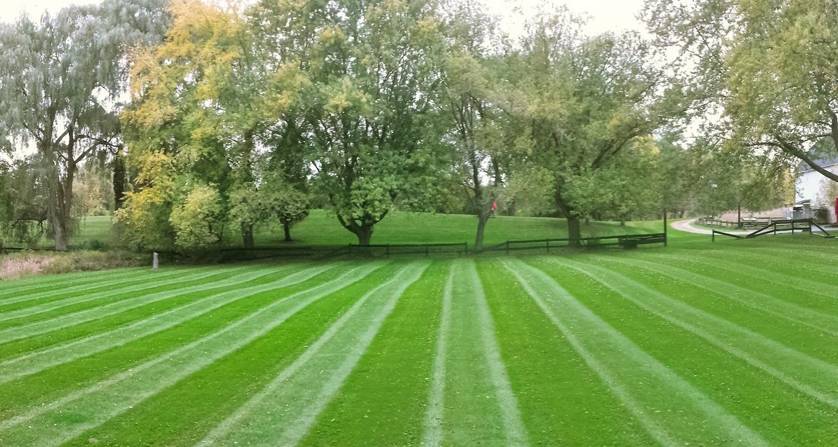 Lawn Maintenance for One Awesome Dad Lawn Care Service in Keller, TX