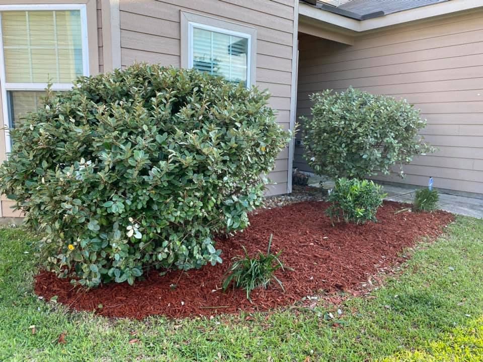 Shrub Trimming for The Lawn Care Brother’s in Brookshire,  TX