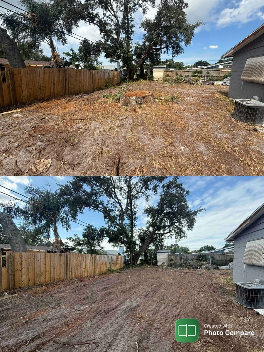 Stump Removal for Adam's Tree and Stump Care in Sarasota, FL