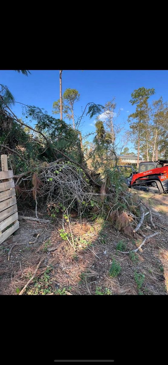 Tree Removal for Thompson Forestry Mulching & Stump Grinding in Douglas, GA