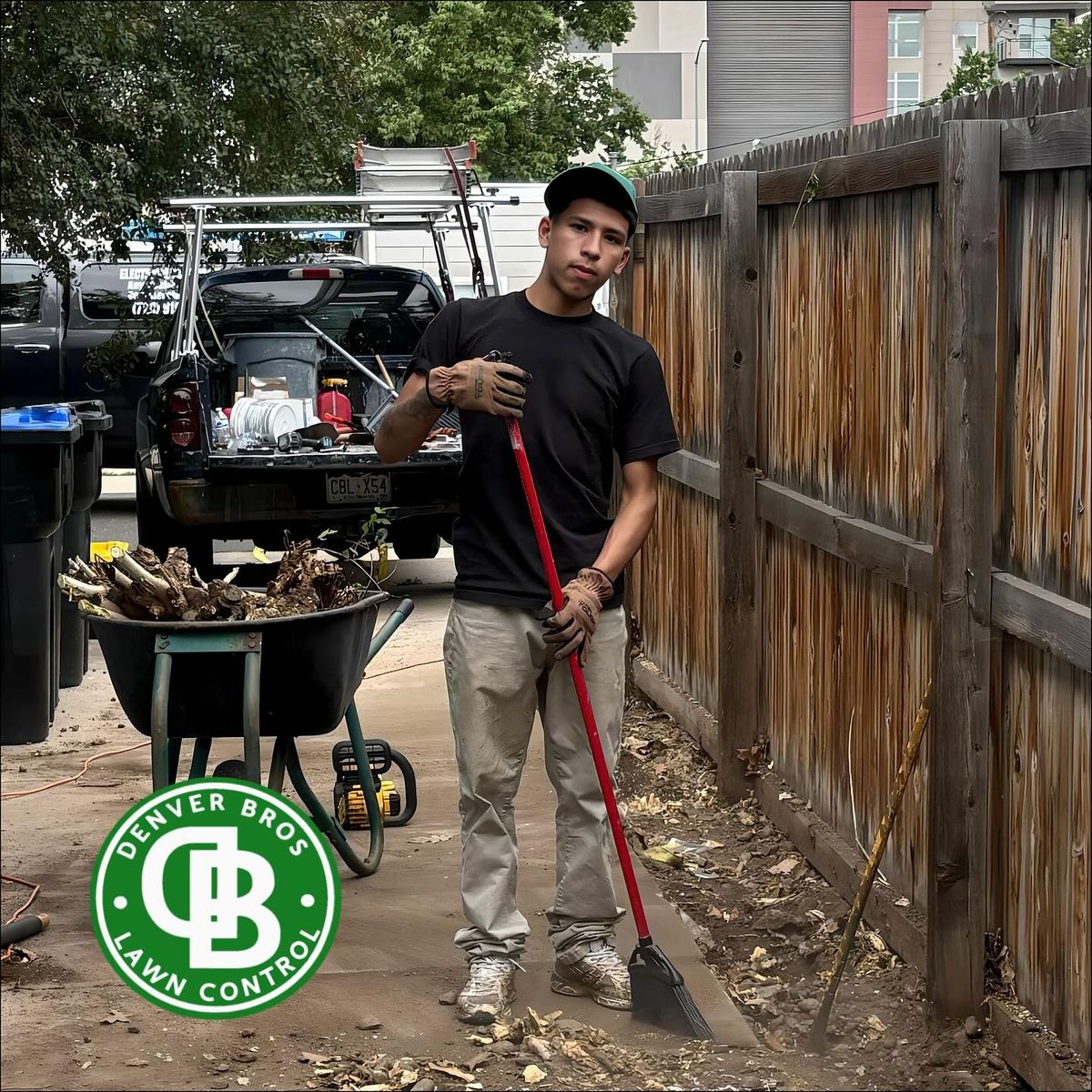 Fall & Spring Clean Up for Denver Bros Lawn Control in Denver, CO