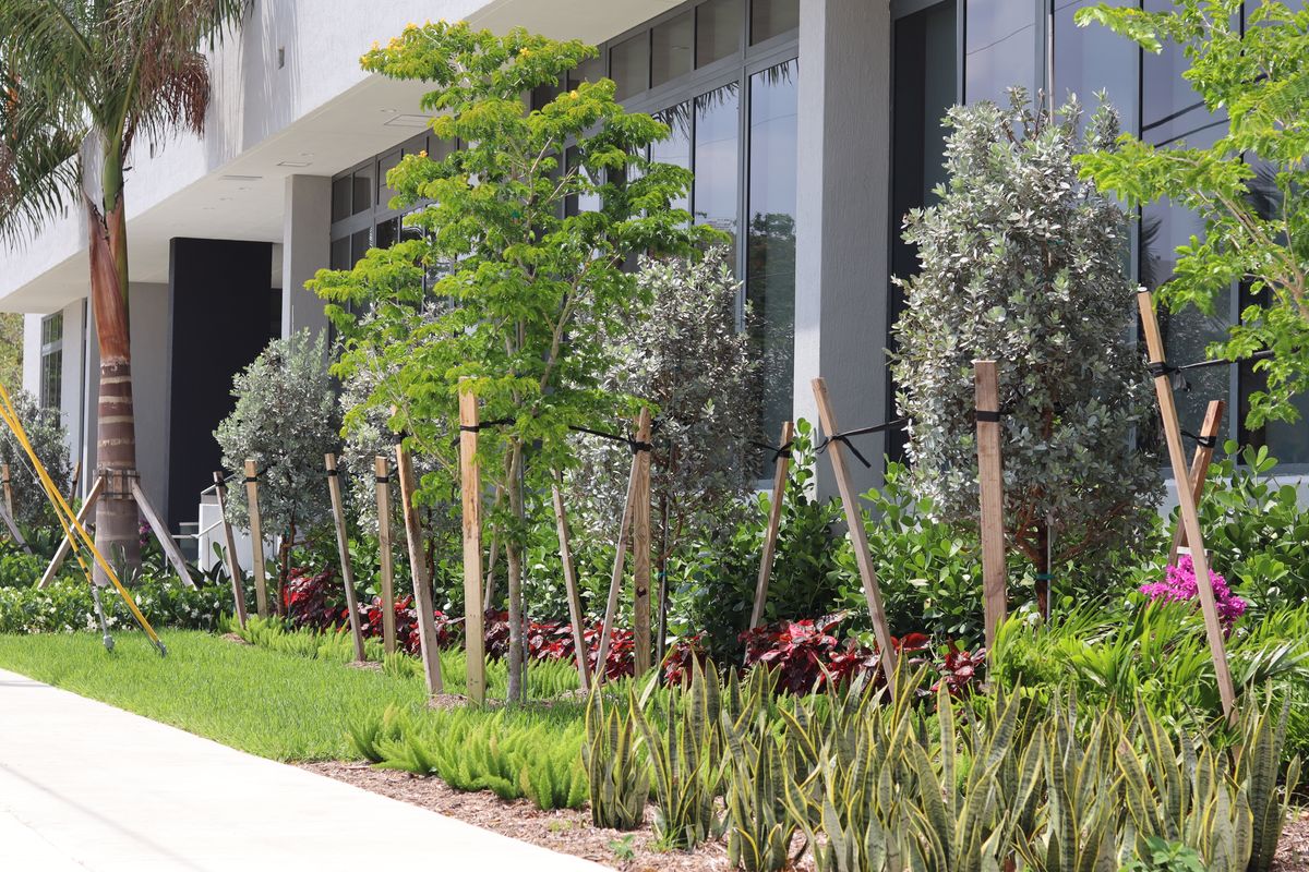 Landscaping for Arazoza Brothers Corporation in Miami, FL