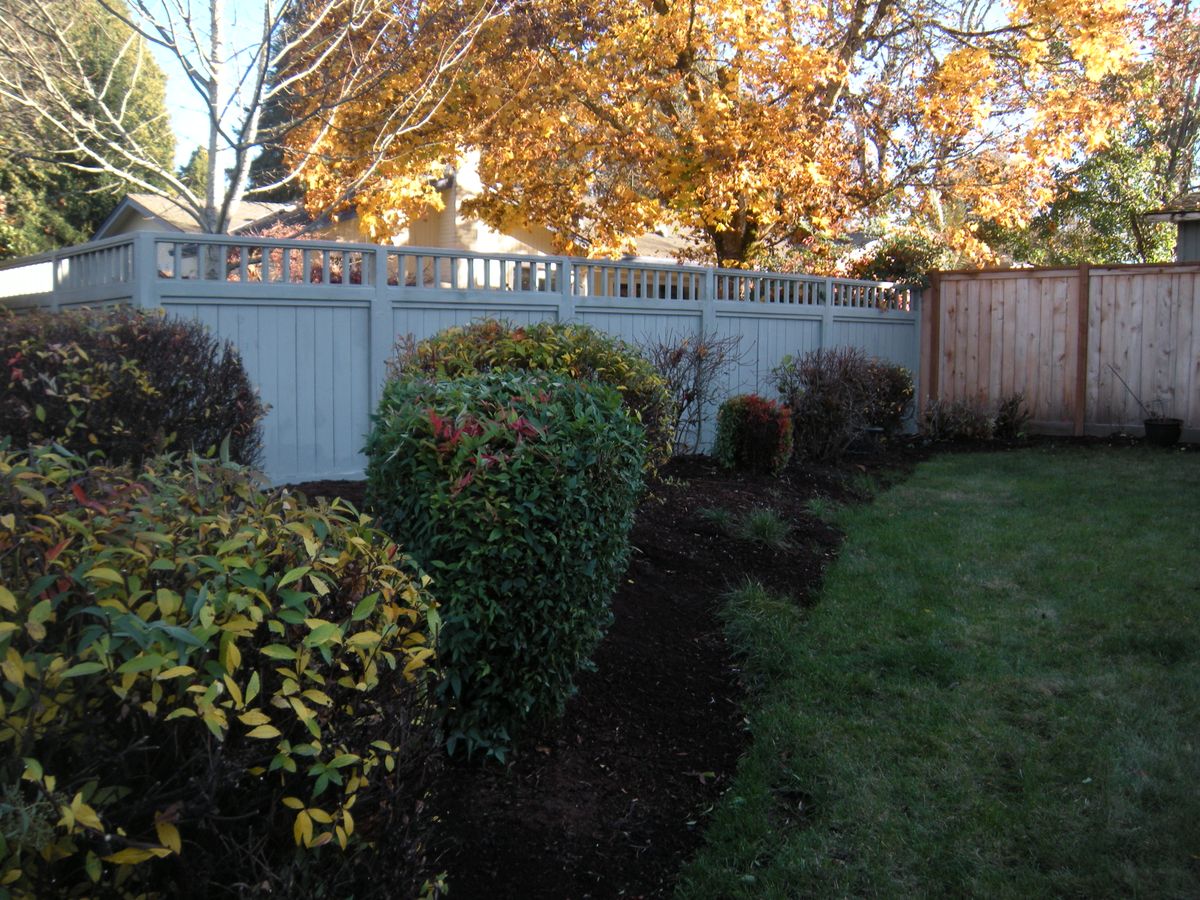 Tree Trimming for Local Tree Removal & Landscaping You Can Trust  in Albany, OR