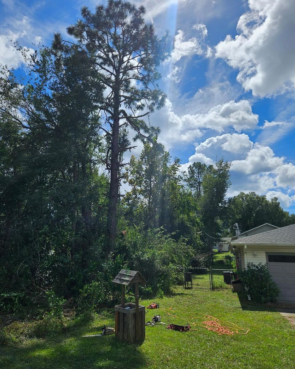 Tree Trimming & Removal for J & E Land Clearing, LLC. in Dunnellon, FL