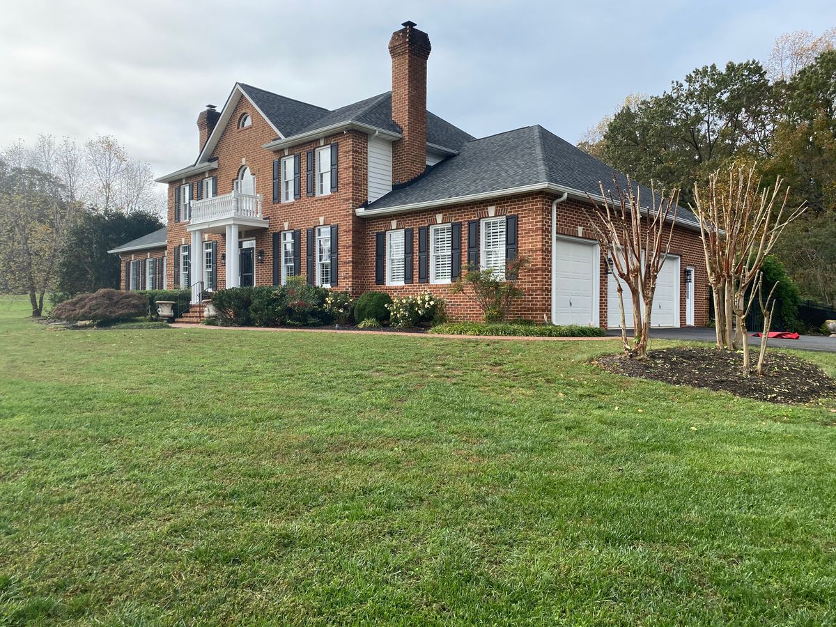 Tree Trimming for Branch Out Tree Care LLC in Fredericksburg, VA