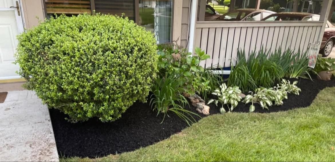 Shrub Trimming for Lawn Rescue in Texarkana, TX