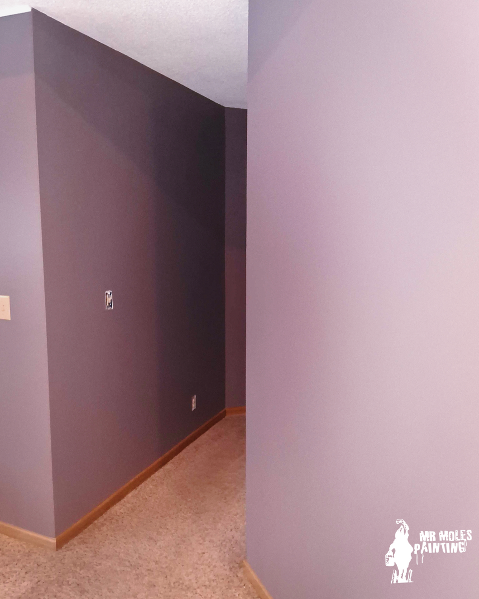 Residential Painting for Mr. Mole's Painting in Bemidji, MN