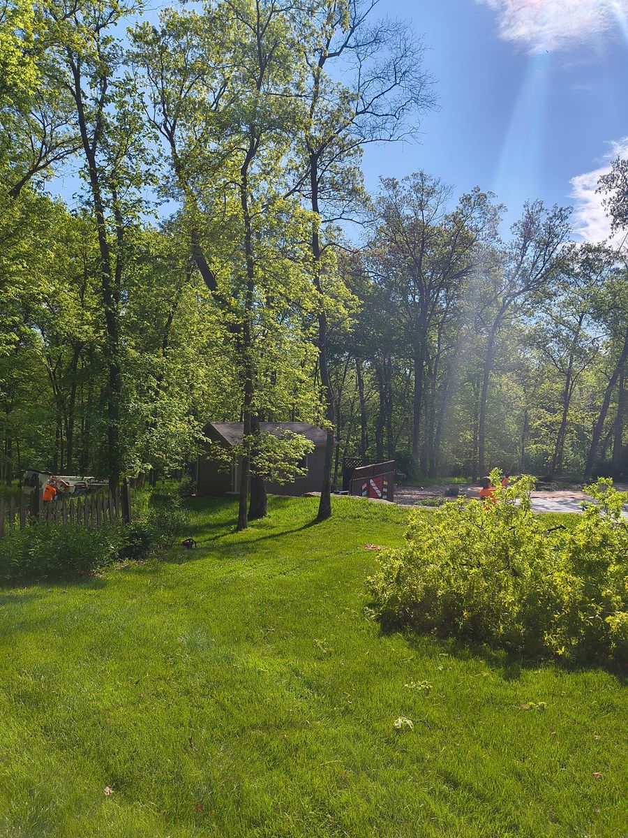 Fall Clean Up for Cross Family Tree Service in Kearney, MO