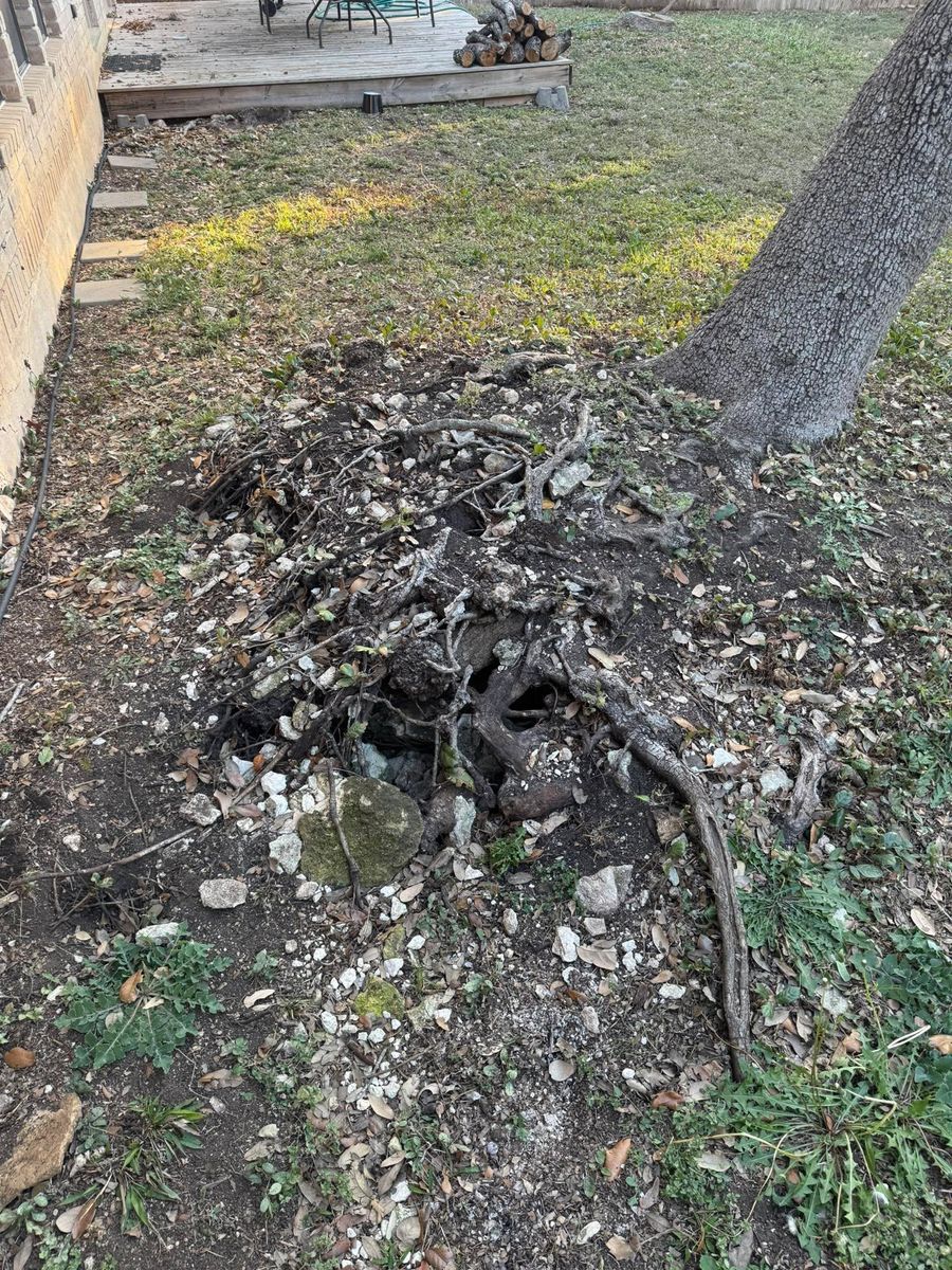 Stump Removal for Z’s Trees LLC in Grey Forest, TX