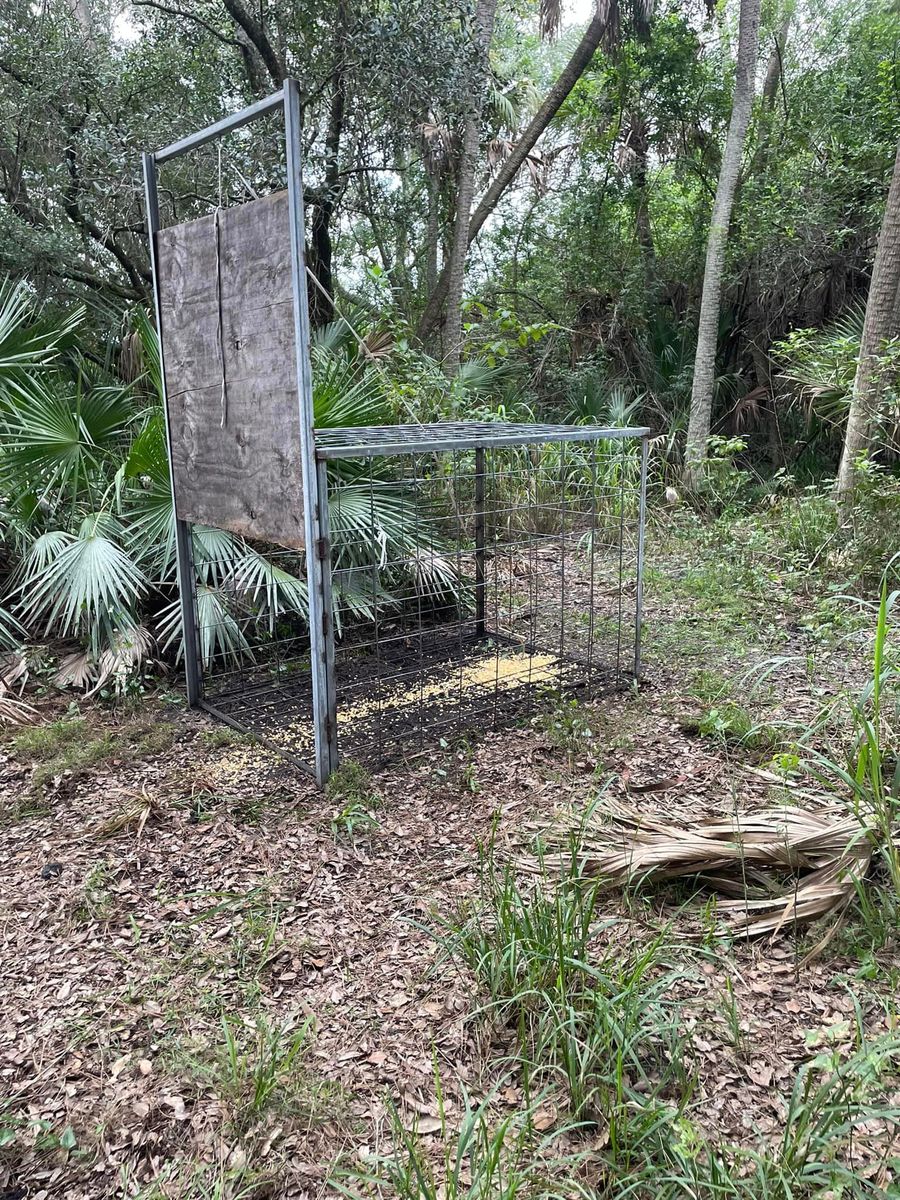 Snakes and more for North Brevard Wildlife Solutions in Mims, FL