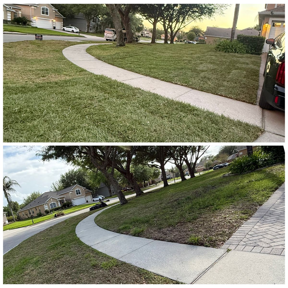 Sod Installation for Amerigrown Tree And Lawn in Apopka, FL
