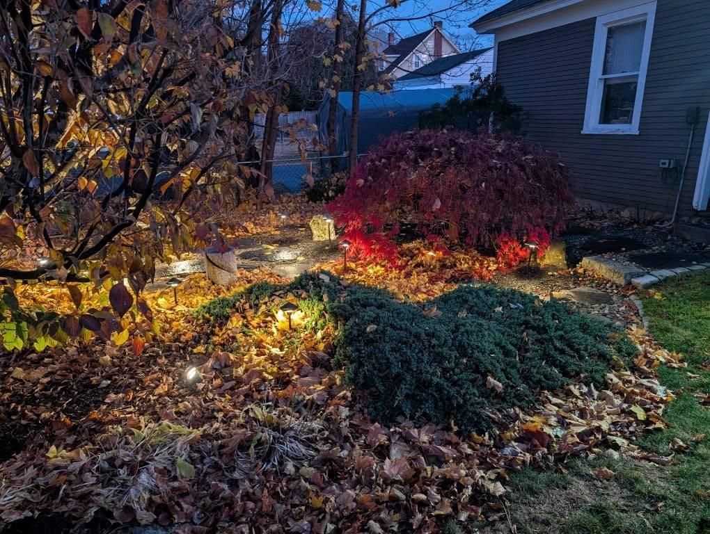 Fall Clean Up for Evolution Earthscapes, LLC in Ludlow, MA