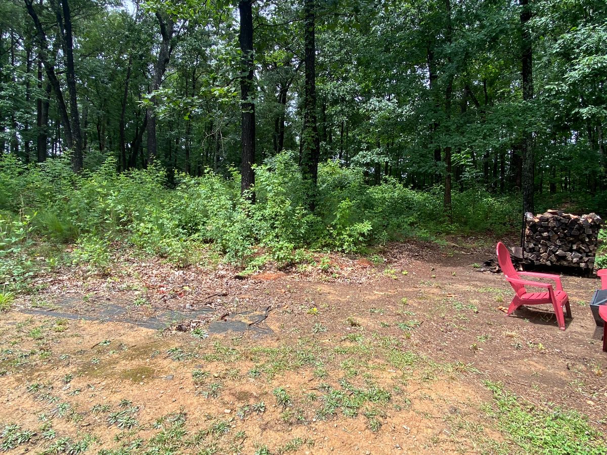 Brush Cutting & Removal for Deeply Rooted Lawn Installations - Sod Installation & Hydroseeding Services in Winder, GA