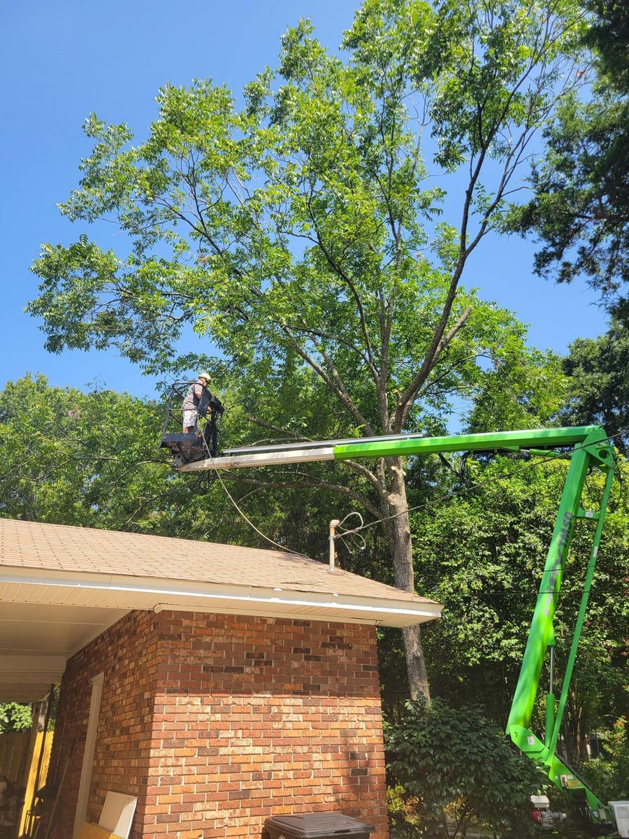 Tree Removal for Trees Unlimited of the CSRA in Augusta, GA