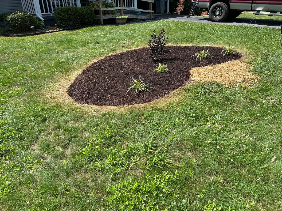 Mulch Installation for Gatrell Landscape & Tree Removal in Bluff City, TN