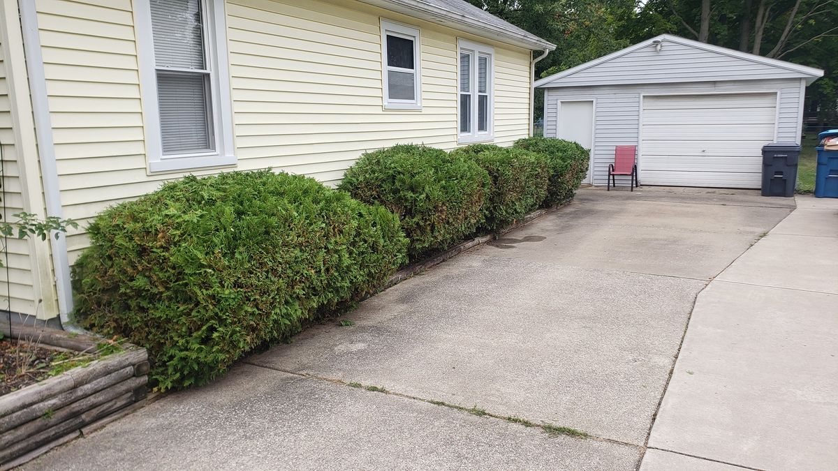 Shrub Trimming for Land Movers in Kalamazoo County, MI