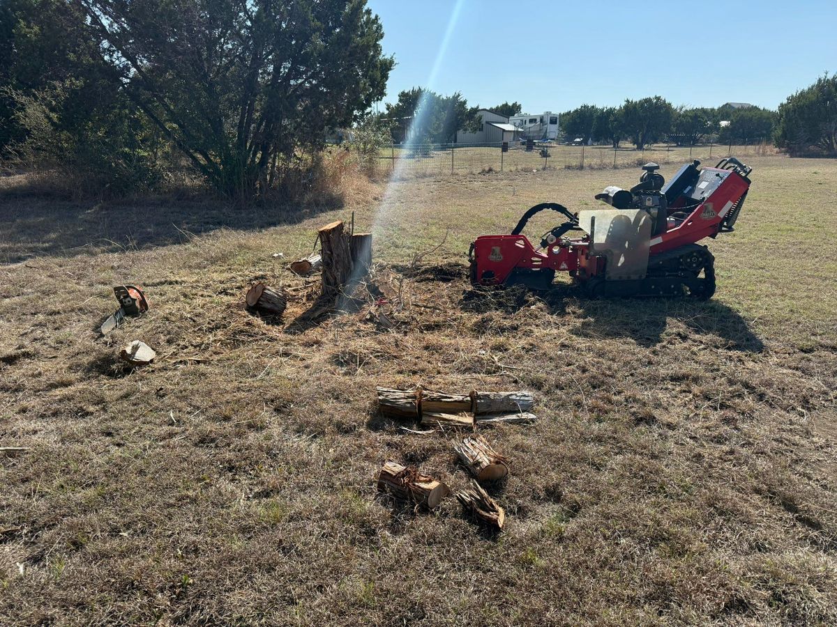 Tree Stump Grinding for Oakley’s Stump ‘N Grind in Leander, TX