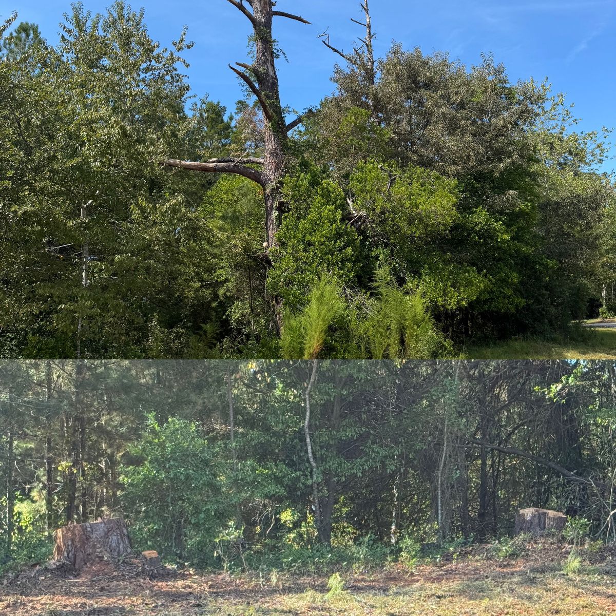 Property management for Camalett Services in Perry, GA