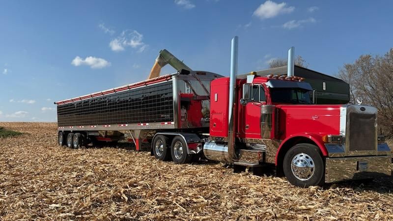 Hauling Grain for N & F Trucking in Watertown, MN