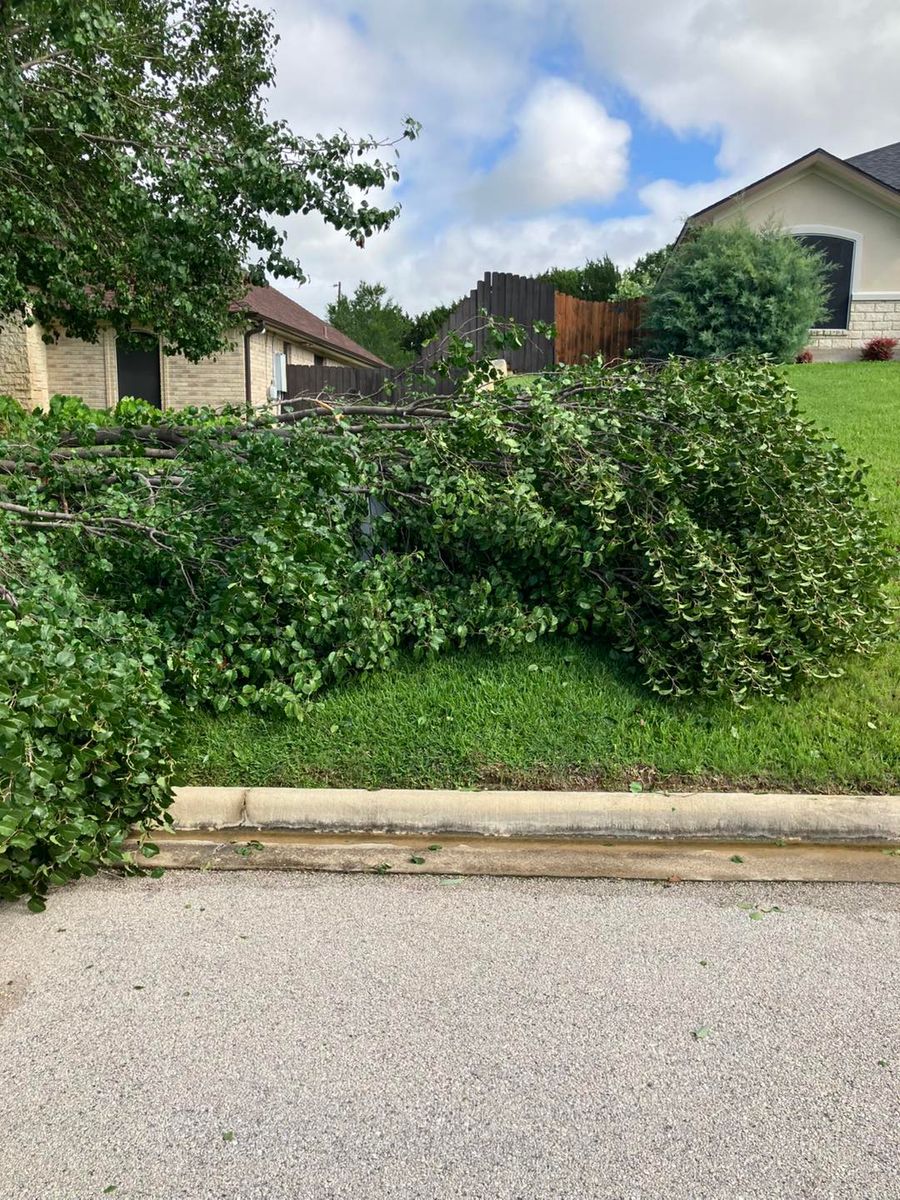 Tree Removal for Father & Son Lawn Care in Harker Heights, TX