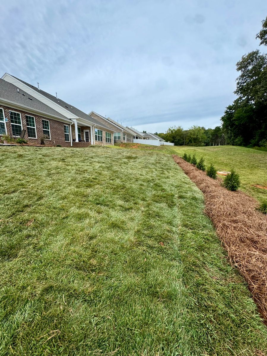 New Landscape Installations for Malboeuf Landscaping, Inc in Kernersville, NC