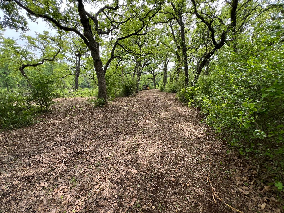 Underbush & Pasture Mowing for D&D Custom Services in Jacksboro,  TX