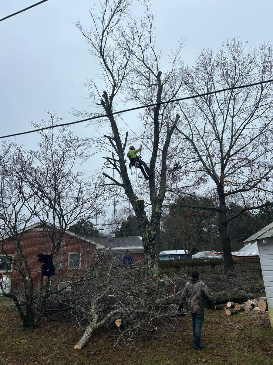 Fall and Spring Clean Up for The Whole 9 Yards Landscape VA in Heathsville, VA