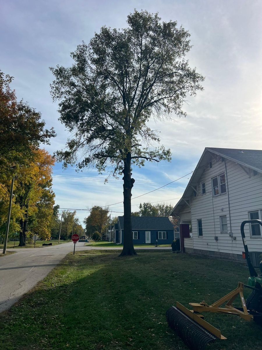 All Skidloader Services for Baker Professional Services LLC in Shelbina, MO