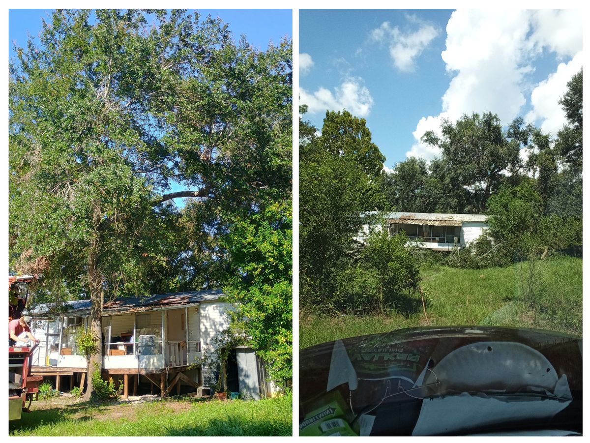 Tree Trimming for Asbell's Tree & Land Services in Gilchrist County, FL