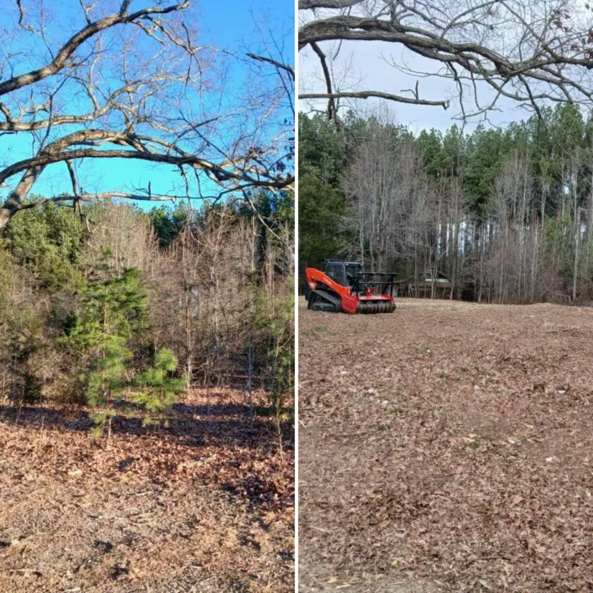 Forestry Mulching for Whiskey Ridge Mulching & Land Services in South Boston, VA