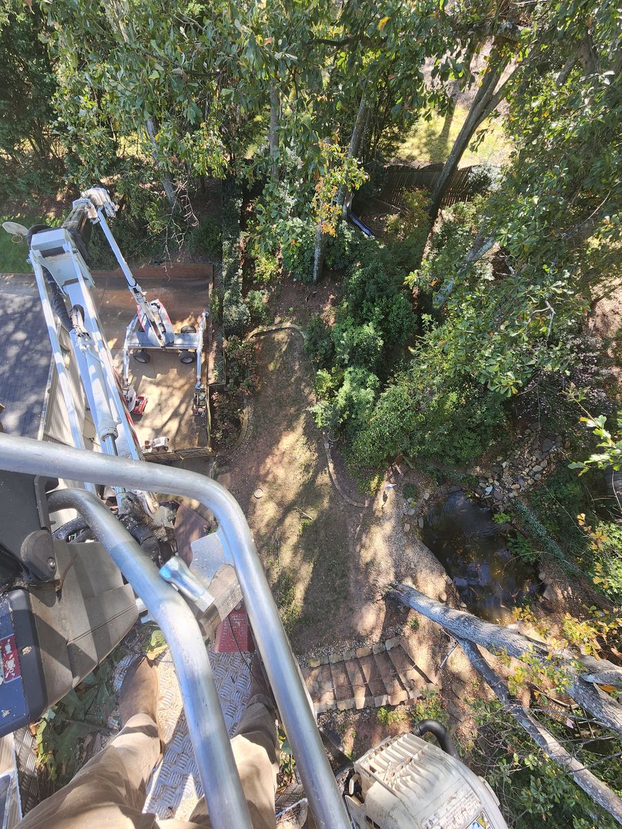 Fall Clean Up for Owens Tree Services in Inman, SC