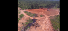 Forestry Mulching for Southern Land Improvements in Edgefield, SC