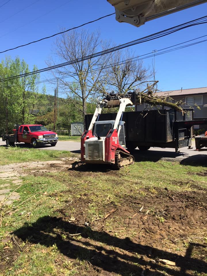 Tree Removal for Jeff’s Tree Service in Southside, AL