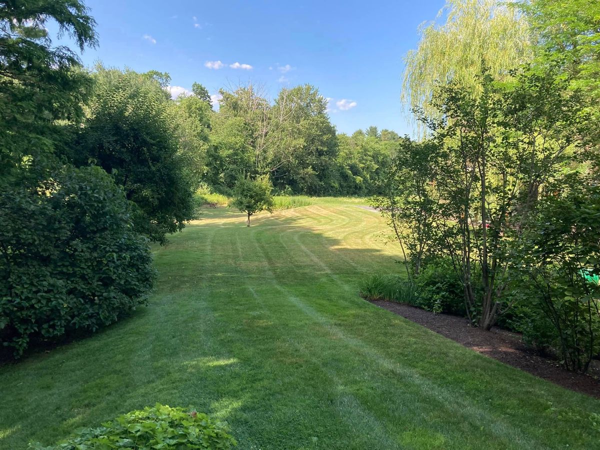 Lawn Maintenance for Saavedra & Sons Landscaping in Waltham, MA