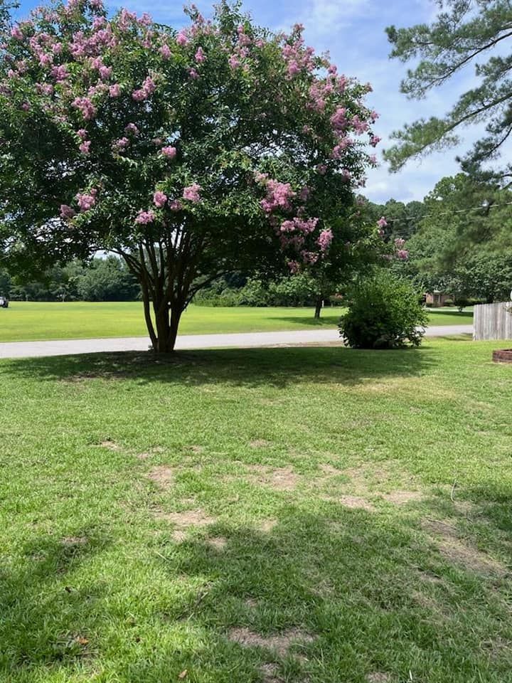 Landscape Design for Westscape Designs in Lake Gaston, NC