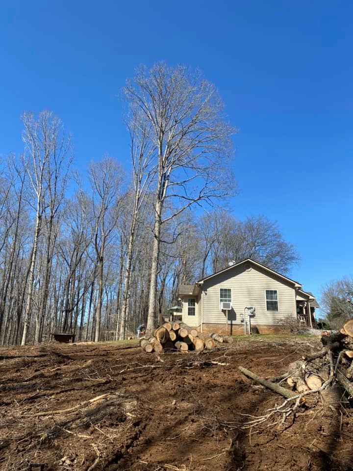 Land Clearing for Lance Tree Service in Tellico Plains ,  TN