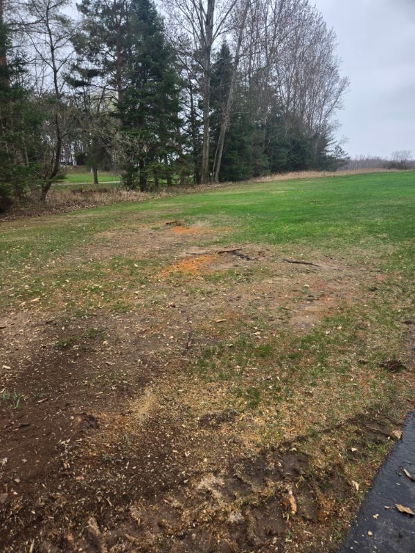 Stump Grinding and Removal for Wilcox Landworks in Pulaski, WI