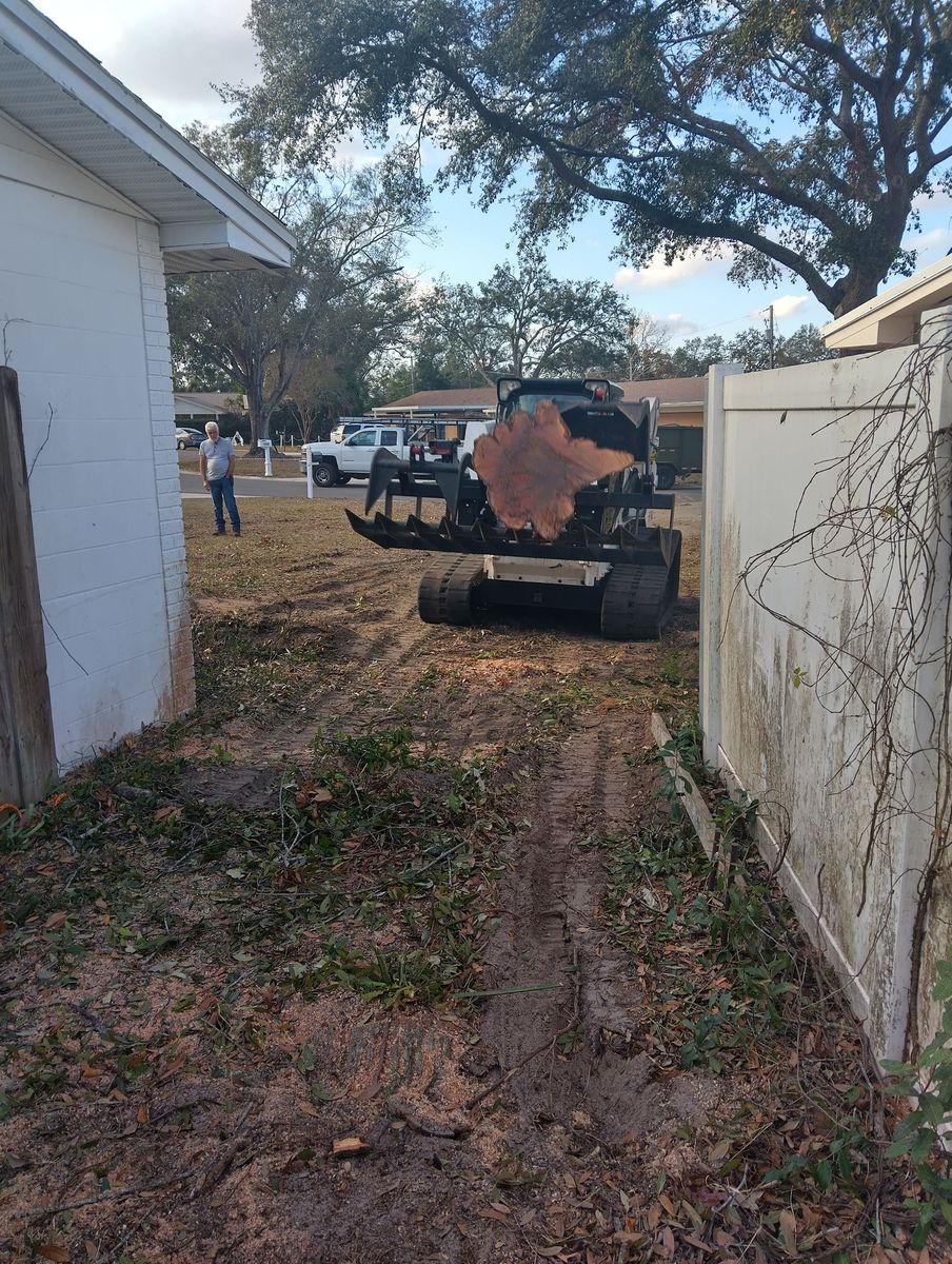 Tree Removal for Bills Tree Service in Valrico, FL