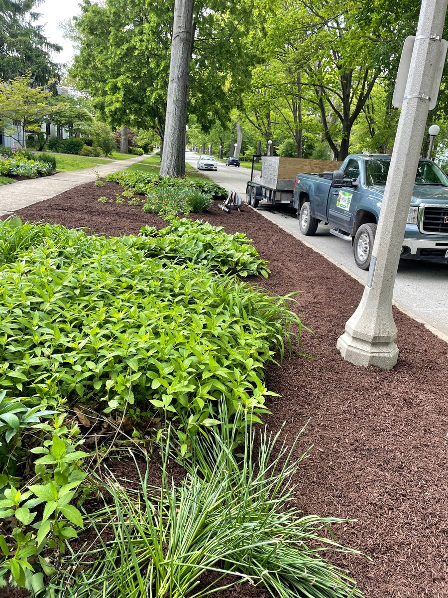 Landscape Design for MDR Landscaping in Urbana, IL