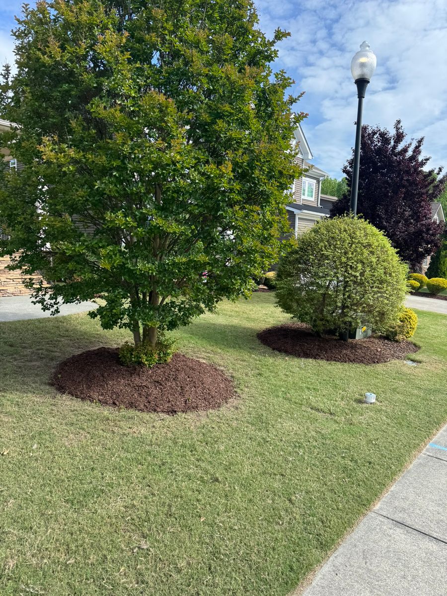 Landscape Installation Services for Done2Day LLC in Wake Forest, NC