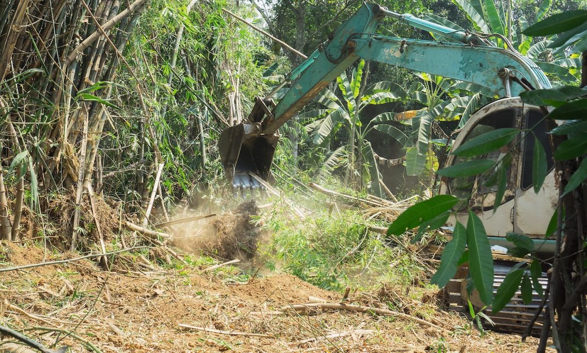 Stump Grinding for Busy Beaver Stump Removal, Inc in Clearwater, FL