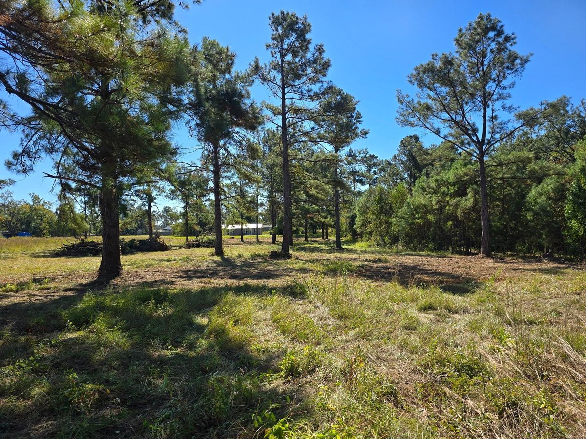 Land Clearing for Giles Land Management, LLC in Hahira, GA