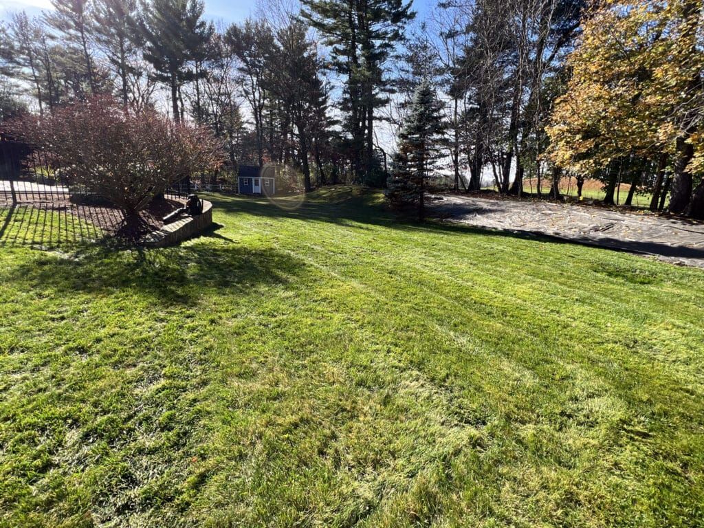 Lawn Care for Picano Landscaping in Reading, MA