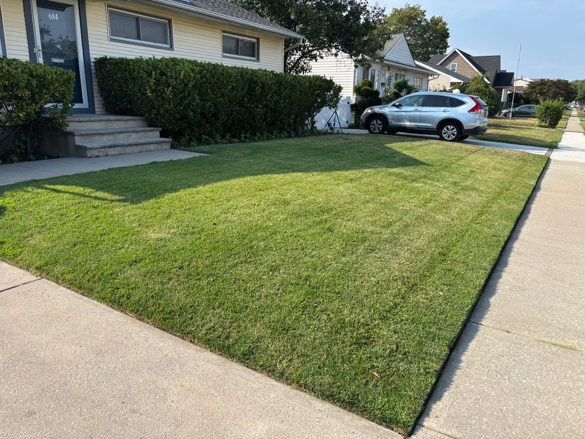 Spring Clean Up for Strong Island Property Services in West Hempstead, NY