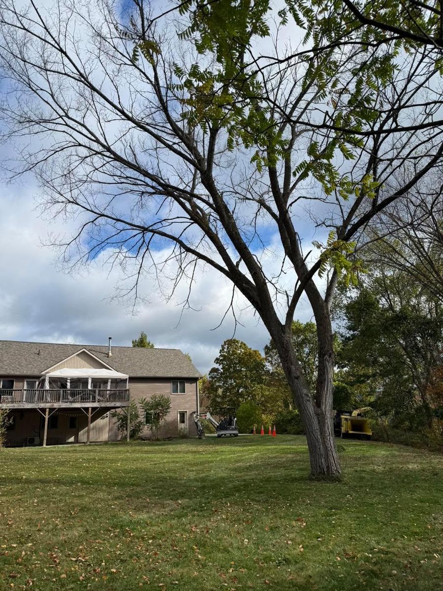 Storm Cleanup for Sterlings Tree Removal in Cobleskill, New York