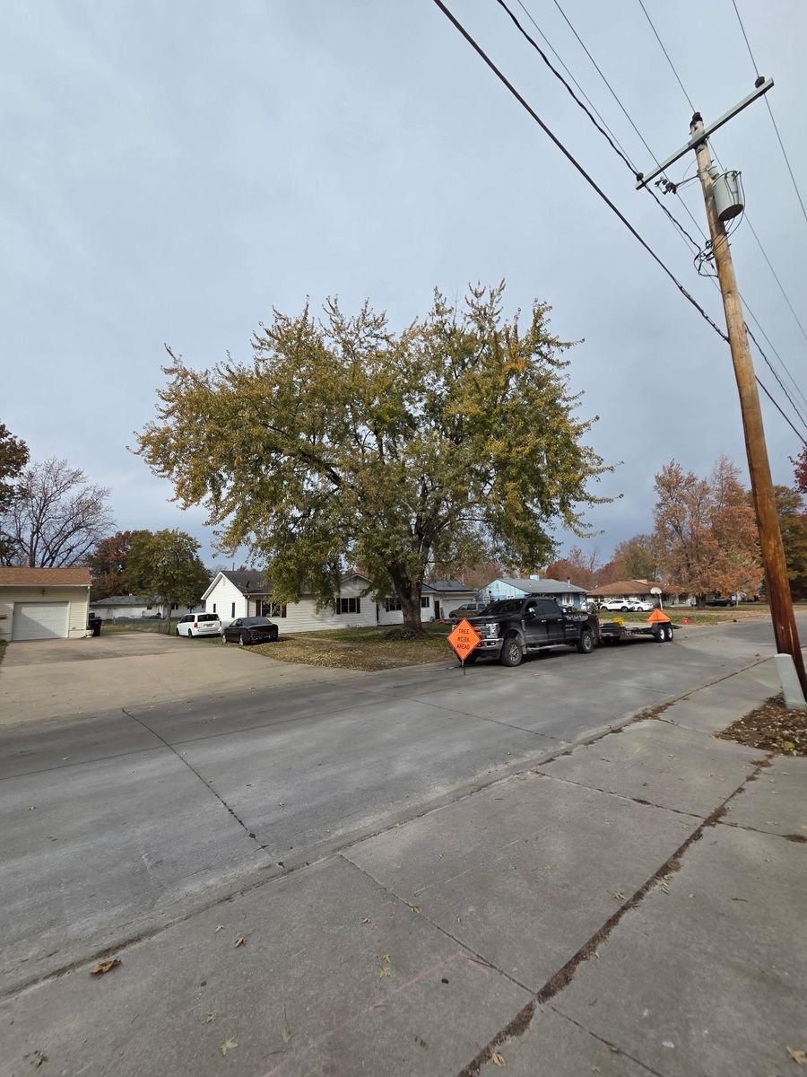 Tree Trimming for Lawn Ranger Yard And Tree Service LLC in Ottumwa, IA