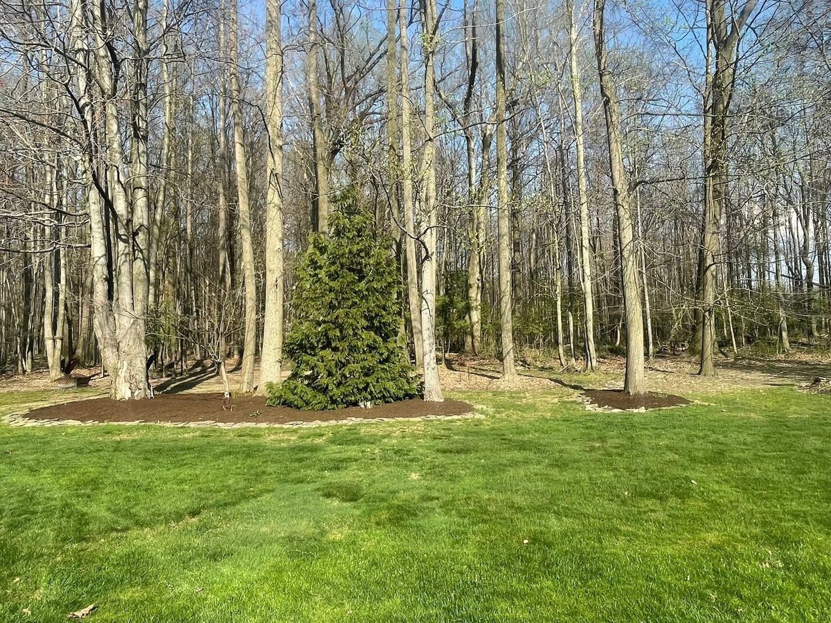 Lawn Maintenance for Reynoso’s Fencing & Lawn Care in Painesville, OH