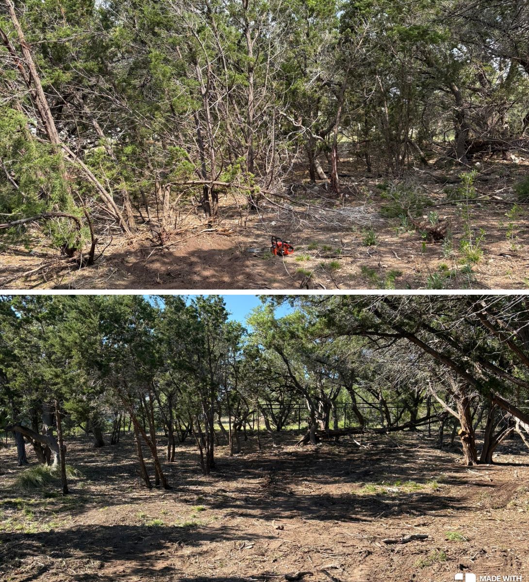 Tree Trimming & Land Clearing for Bad Axe Landscapes LLC in Blanco, TX