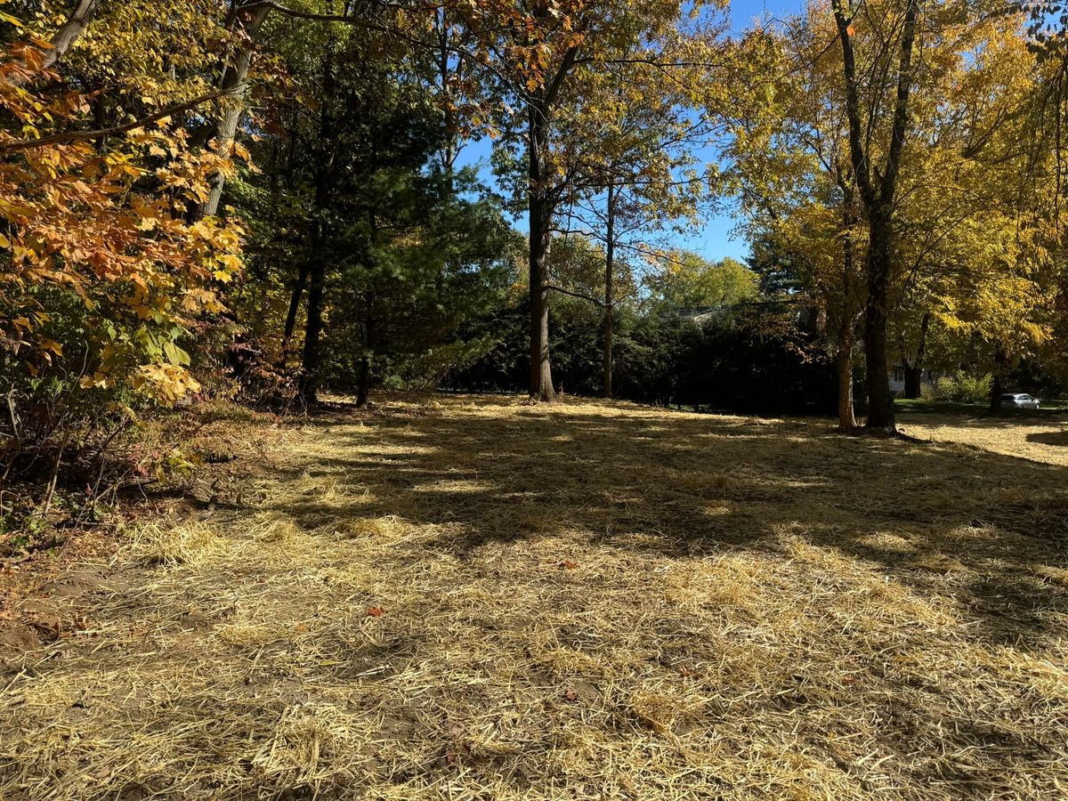 Land Clearing & Yard Expansion for Lennon Land Management in Suffield, CT